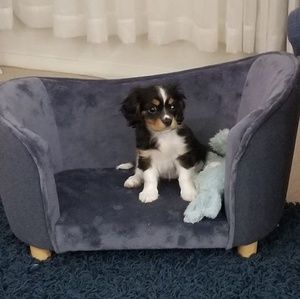 Meet your Posher, Beryl